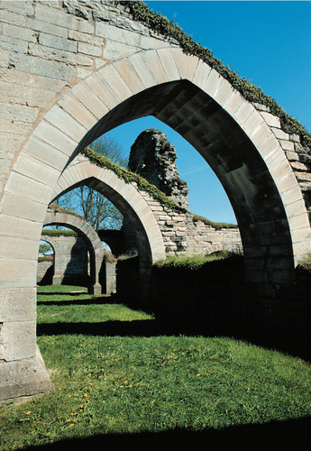 Restaurerade stendetaljer av Borghamnskalksten