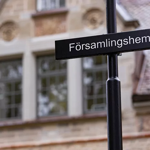 Restaurerade stendetaljer av Borghamnskalksten